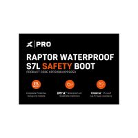 A6 Footwear Gondola Cards - Pro Raptor